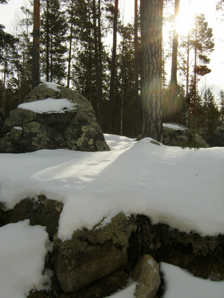 now and winter in the backyard.