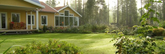 Tidig morgon. Early morning.